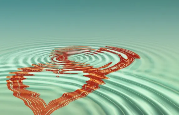 WinFest Cazino Cazinou Suport